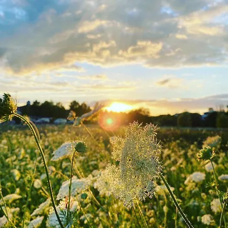 Luxus-ferienhaus Armonia * Göhren-Lebbin