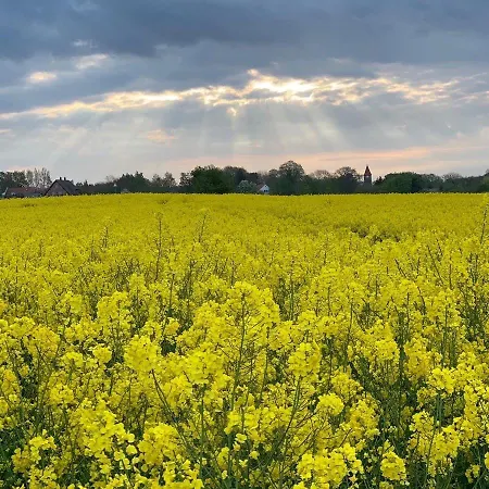 Ferienhaus Luxus-ferienhaus Armonia Göhren-Lebbin